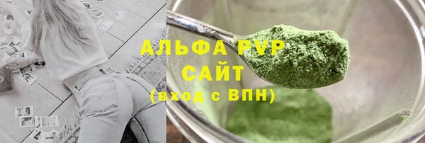 СК Алексин