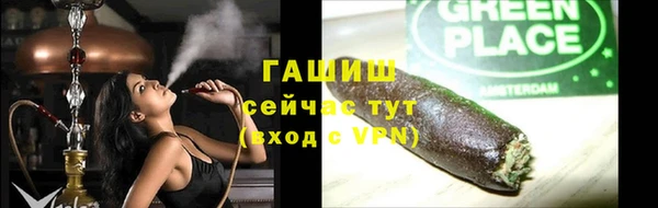 стаф Аркадак
