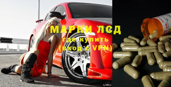 ГАЛЛЮЦИНОГЕННЫЕ ГРИБЫ Алзамай