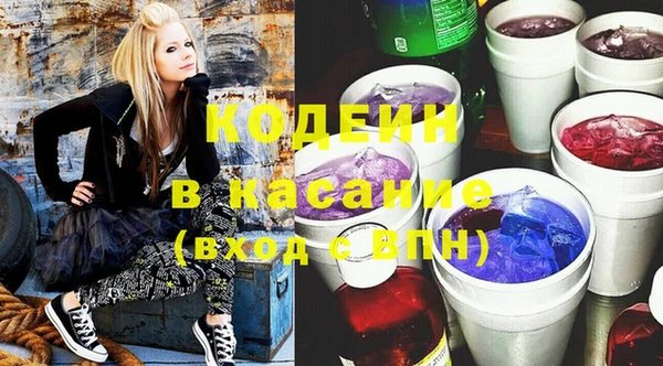 стаф Аркадак