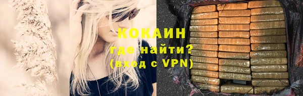 стаф Аркадак