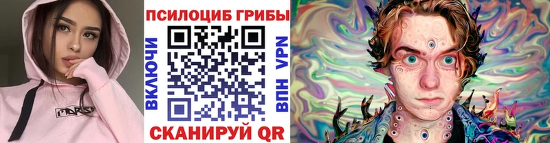 Галлюциногенные грибы Psilocybe  Купить  Шлиссельбург 