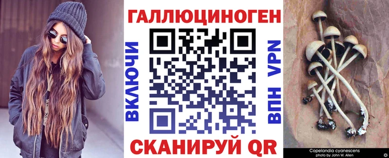Галлюциногенные грибы мицелий Шлиссельбург
